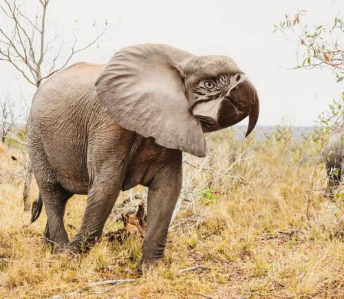 Безумные метаморфозы или где-то в параллельной вселенной. 04