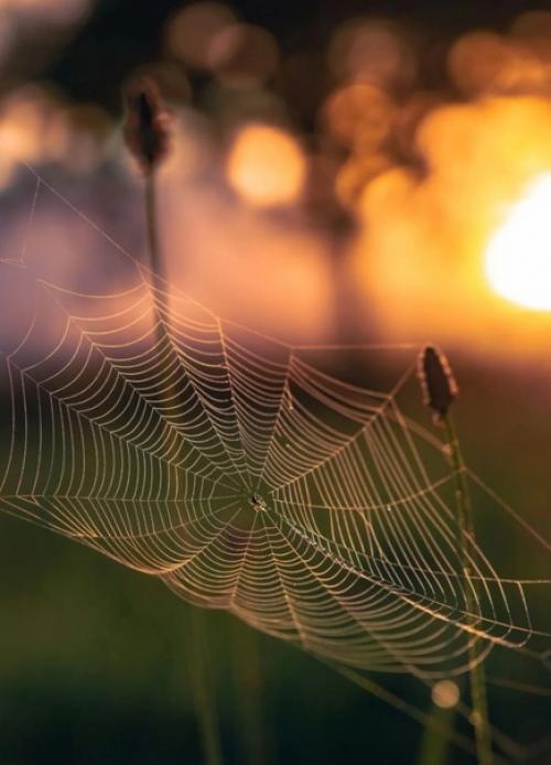 Красота в деталях. 05