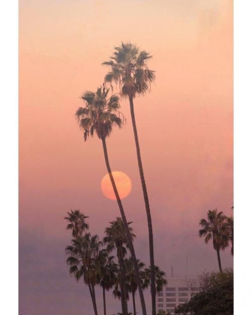 Прекрасные кадры с ароматом морского бриза. 04