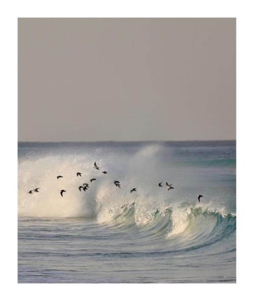 Прекрасные кадры с ароматом морского бриза. 05