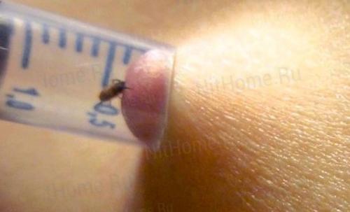 Очень актуальная информация! 06