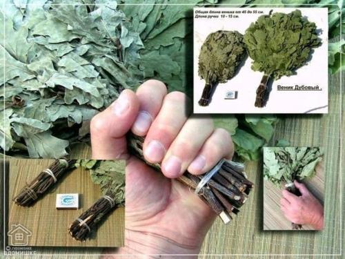 Веники для бани. 05 Веники для бани. 05