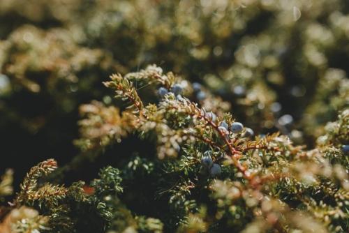 Туда, где тишина и свобода. 04