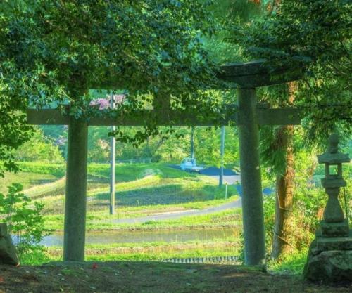 Побывав однажды в Японии, и главное летом. 05