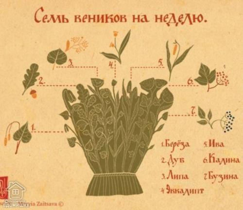 Веники для бани. 03 Веники для бани. 03