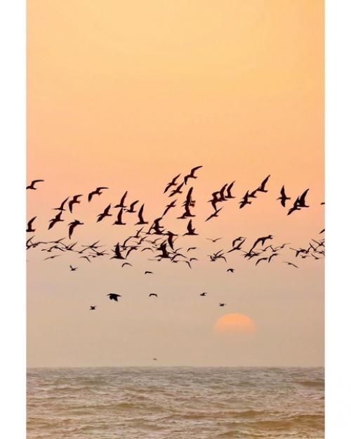 Прекрасные кадры с ароматом морского бриза. 03