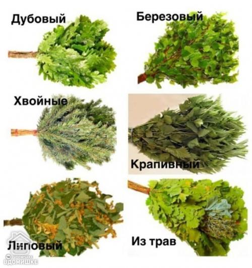 Веники для бани. 01 Веники для бани. 01