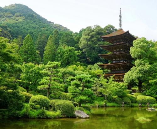 Побывав однажды в Японии, и главное летом. 04