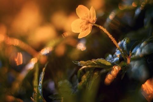 Фотограф: Марина мурашова. 05