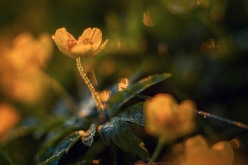 Фотограф: Марина мурашова. 04