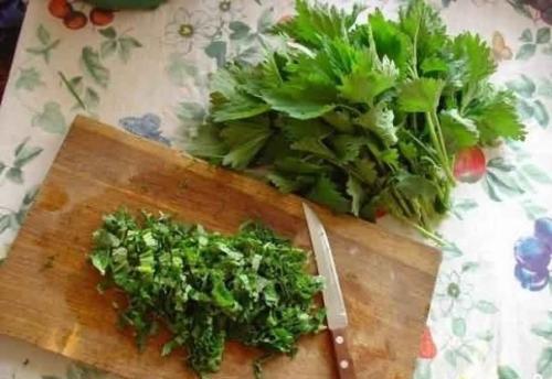 Крапива - целебная сила. 01