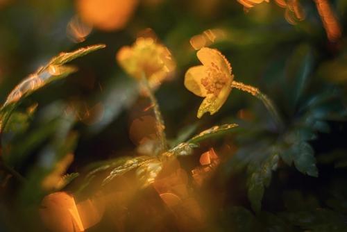 Фотограф: Марина мурашова. 03