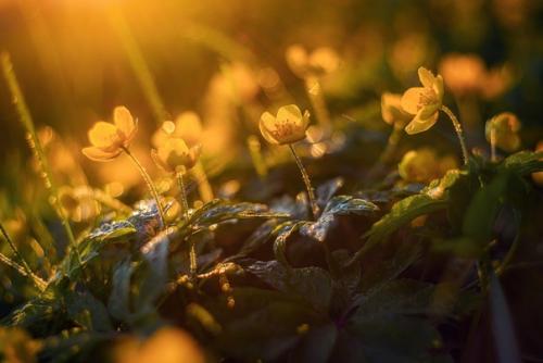 Фотограф: Марина мурашова. 02