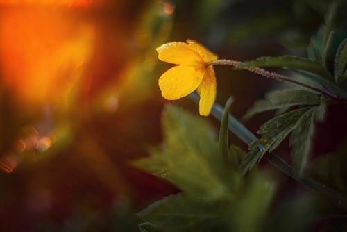 Фотограф: Марина мурашова. 08