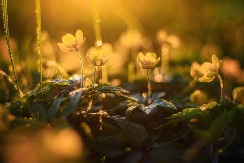 Фотограф: Марина мурашова. 07