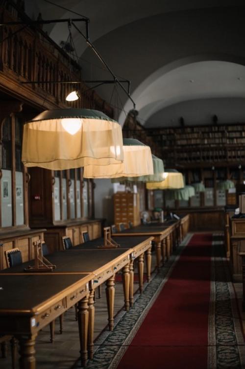 Фотограф: Алёна Капкова. 07