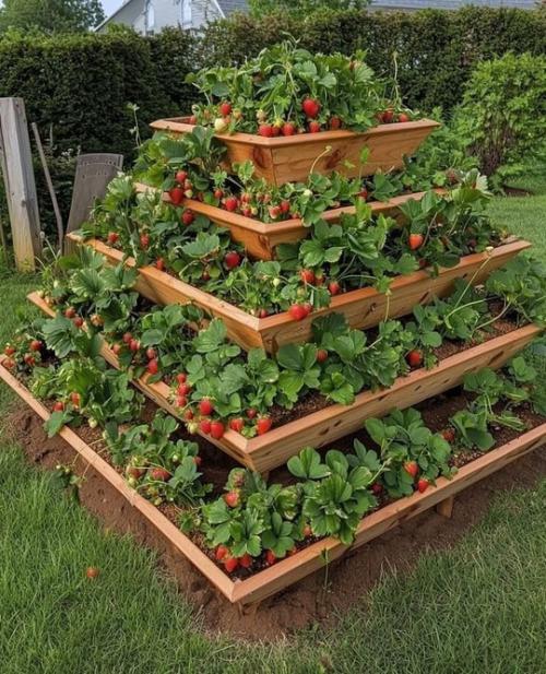 Как использовать дачное пространство по максимуму! 04