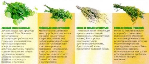 Beники для бани. 06