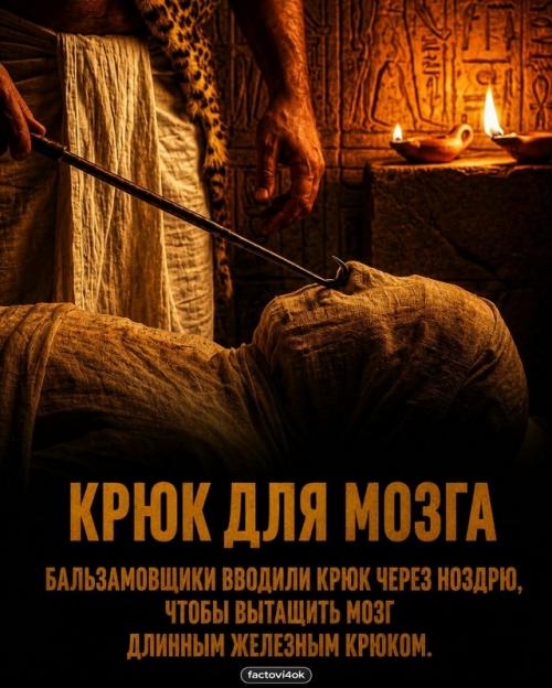 Древний Египет - это не только золото и пирамиды, но и пугающая изнанка. 01