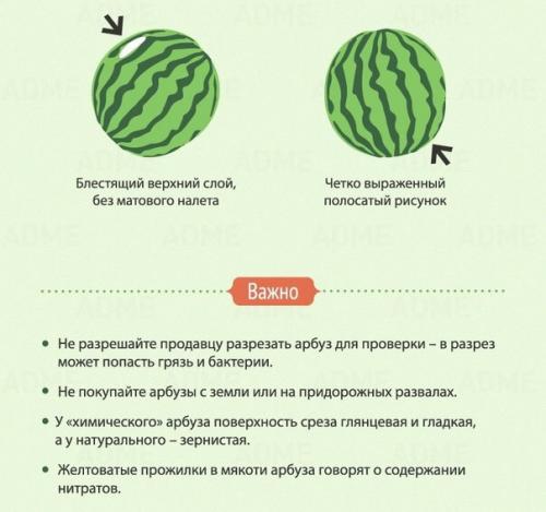8 признаков хорошего арбуза. 02
