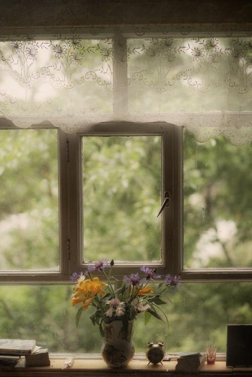 Прекрасные кадры, наполненные теплотой и добром. 03