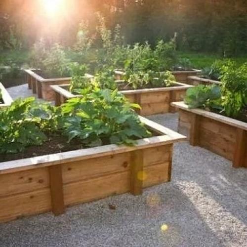 Дачный лайфхак. Простые идеи высоких грядок. 04