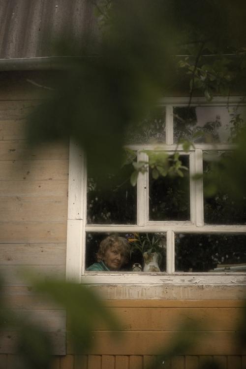 Прекрасные кадры, наполненные теплотой и добром. 07