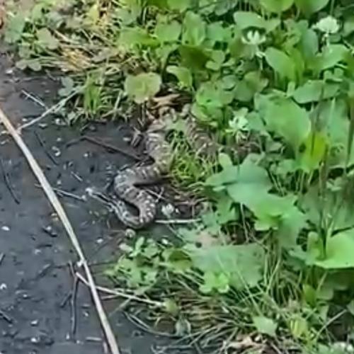 Будьте осторожны на участках и во время отдыха на природе. 02