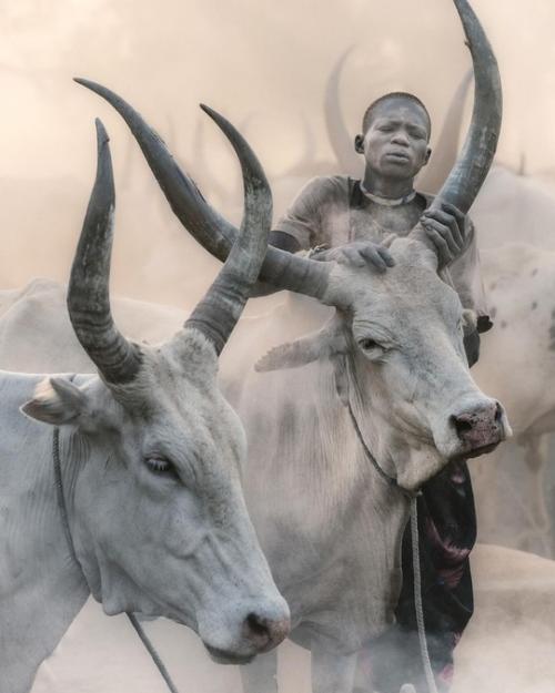 Будни африканского племени мундари в аутентичных работах фотографа Trevor Cole. 05