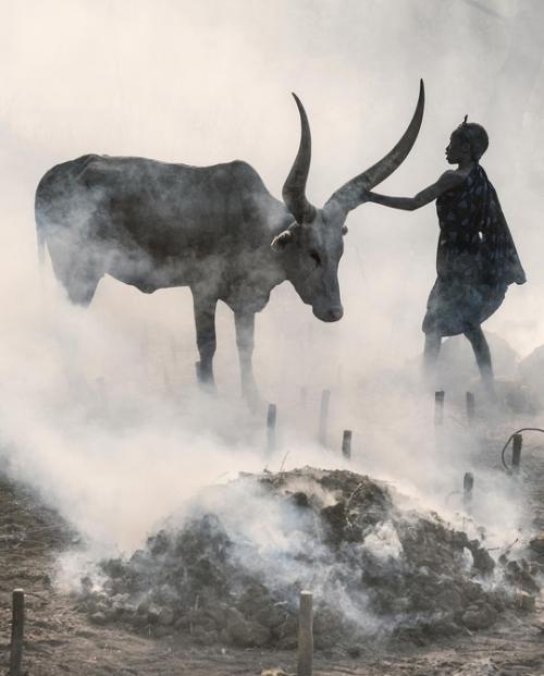 Будни африканского племени мундари в аутентичных работах фотографа Trevor Cole. 06