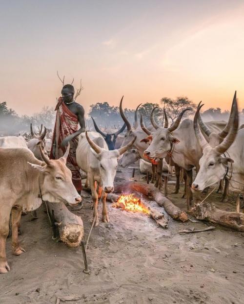 Будни африканского племени мундари в аутентичных работах фотографа Trevor Cole. 02