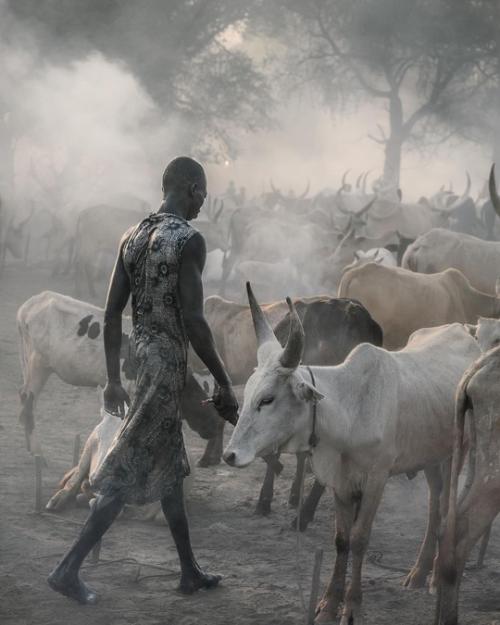 Будни африканского племени мундари в аутентичных работах фотографа Trevor Cole. 04