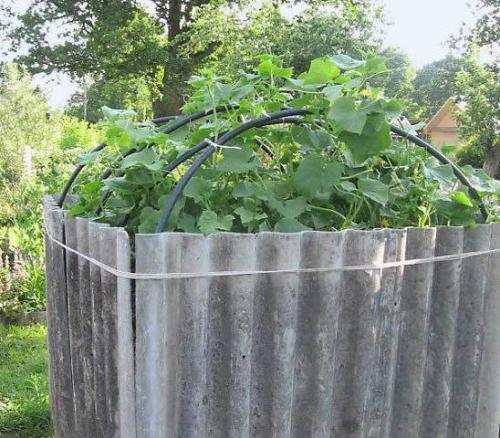 Конструкция для выращивания огурцов. 02