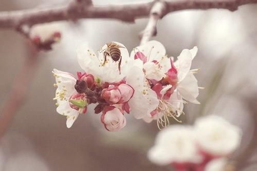 Урок Модные колоризации фотографий. 01