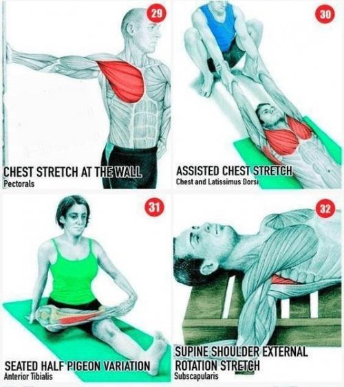 Полезная инструкция - полная растяжка всех мышц. 06