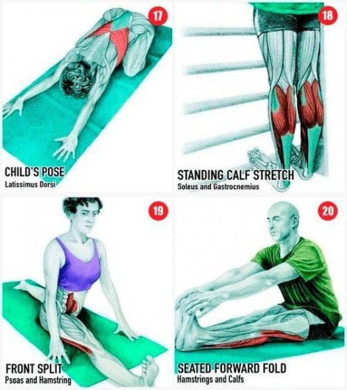 Полезная инструкция - полная растяжка всех мышц. 04