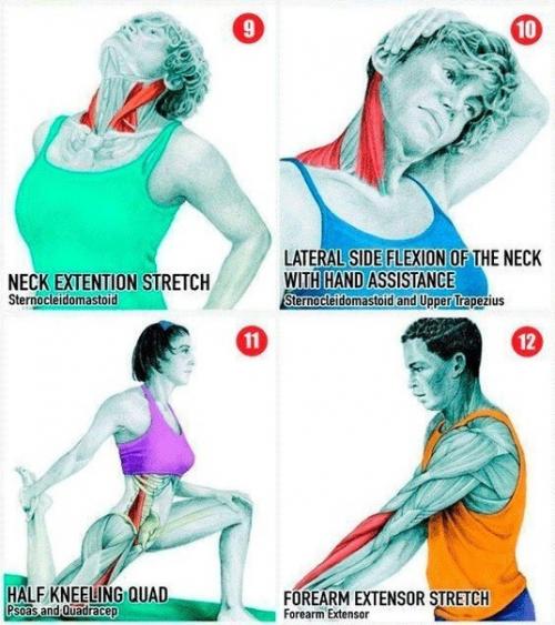 Полезная инструкция - полная растяжка всех мышц. 02