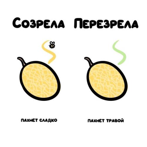 Лето без арбуза и дыни - не лето! 07