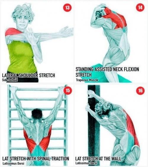 Полезная инструкция - полная растяжка всех мышц. 03