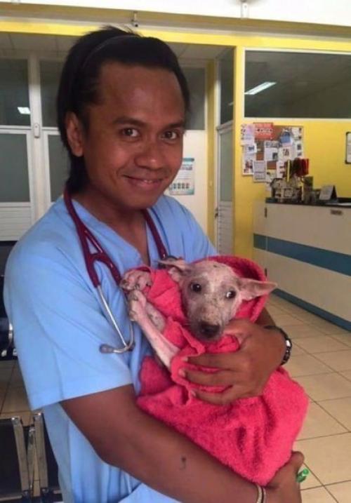 Кефирное желе 114. 03