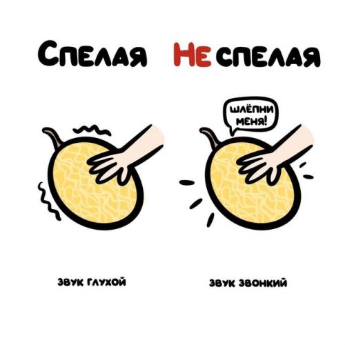 Лето без арбуза и дыни - не лето! 05