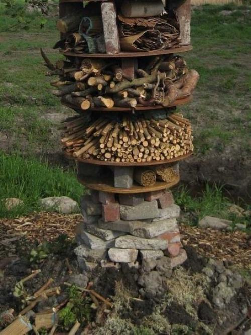 Как привлечь в сад полезных насекомых. 02