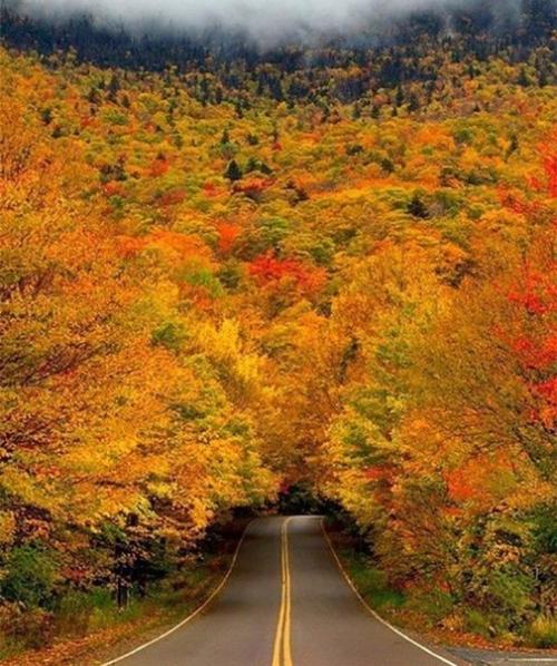 Уж дышит август ceнтябpeм. 02