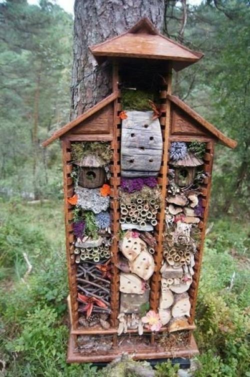 Как привлечь в сад полезных насекомых. 01