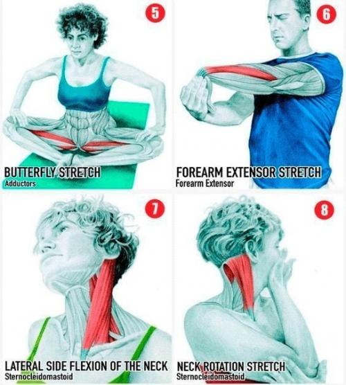 Полезная инструкция - полная растяжка всех мышц. 01