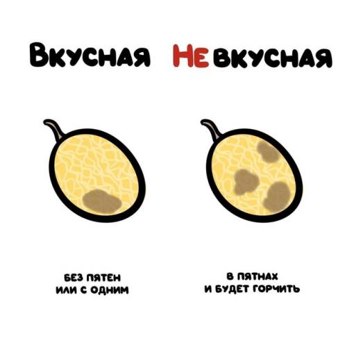 Лето без арбуза и дыни - не лето! 08