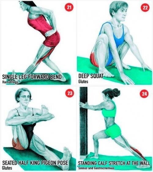 Полезная инструкция - полная растяжка всех мышц. 05