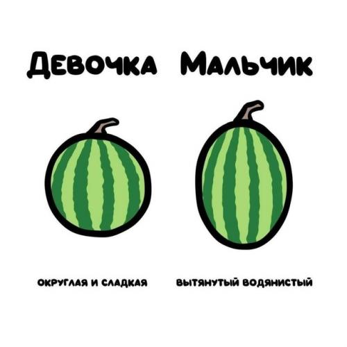 Лето без арбуза и дыни - не лето! 01