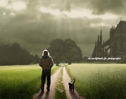 Правила композиции в пейзажной фотографии для новичков. 01 Правила композиции в пейзажной фотографии для новичков. 01