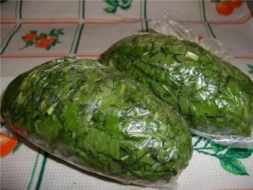 Мы сохраняем овощи и фрукты методом заморозки. 08 Мы сохраняем овощи и фрукты методом заморозки. 08